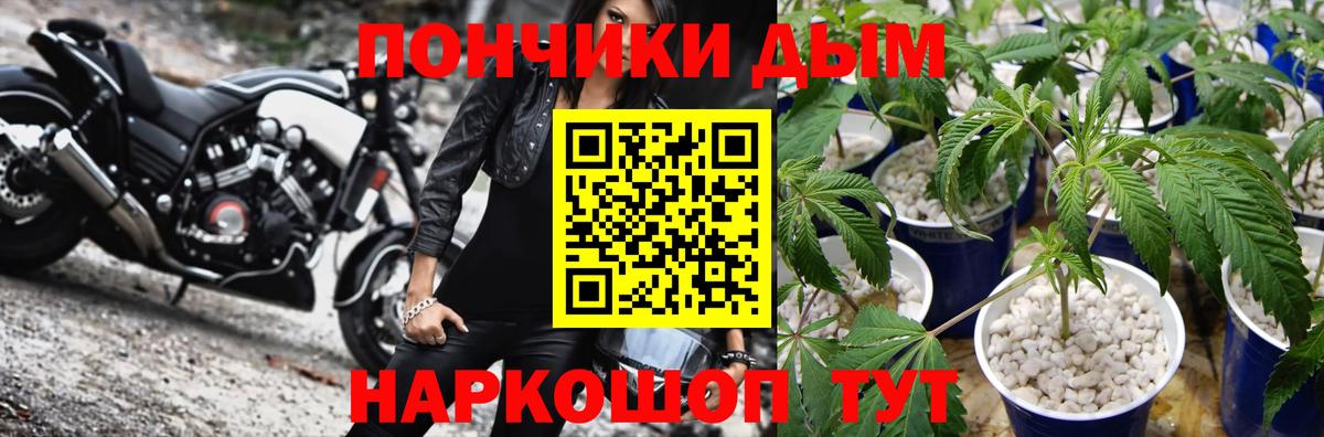 Конопля семена  Вход с VPN  Каннабис OG Kush  Марихуана VHQ  Каннабис LSD WEED  Тамбов 
